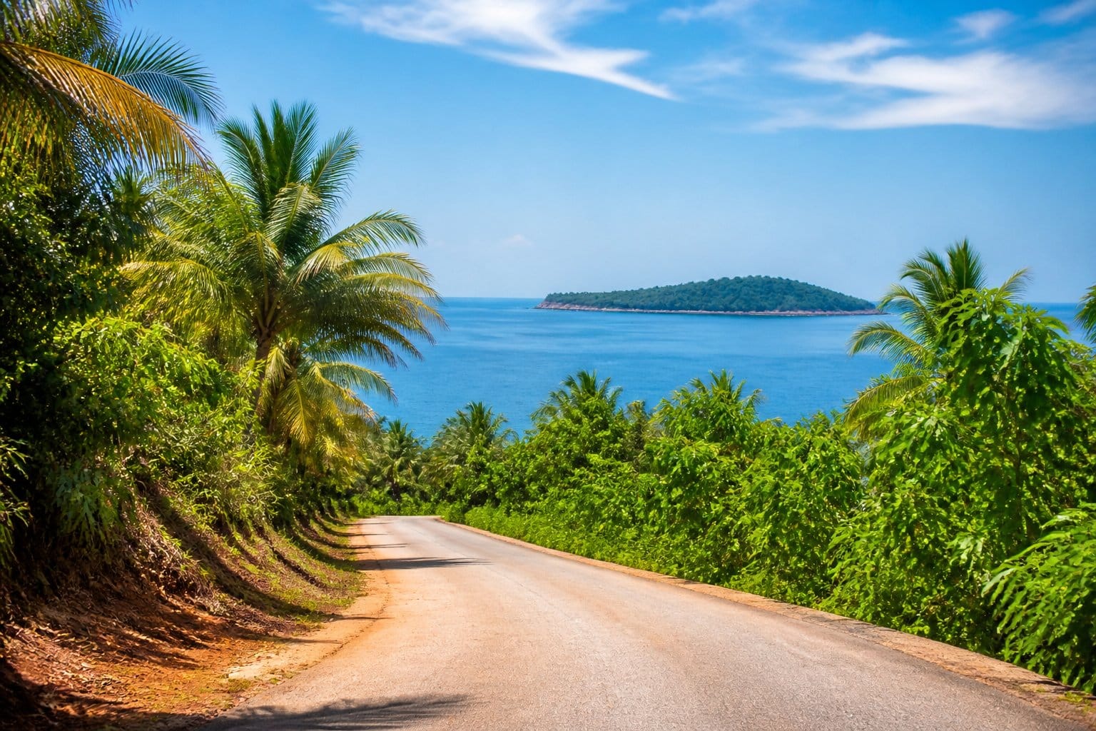 Estrada cercada por vegetação tropical levando até a costa com vista para o mar e céu ensolarado.