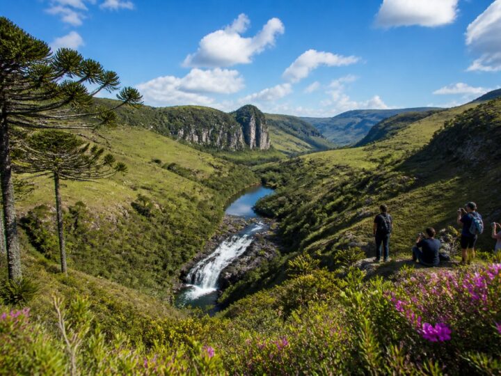 Lugares para Conhecer Perto de Curitiba: Natureza, História e Gastronomia