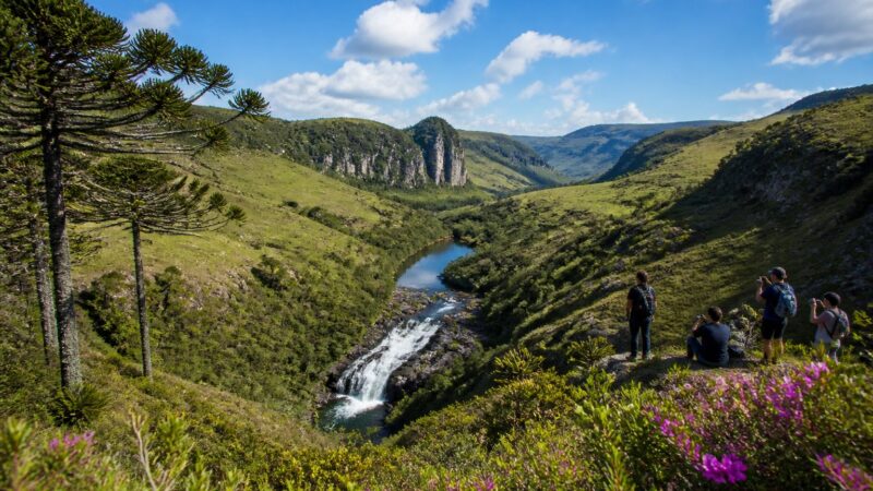 Lugares para Conhecer Perto de Curitiba: Natureza, História e Gastronomia