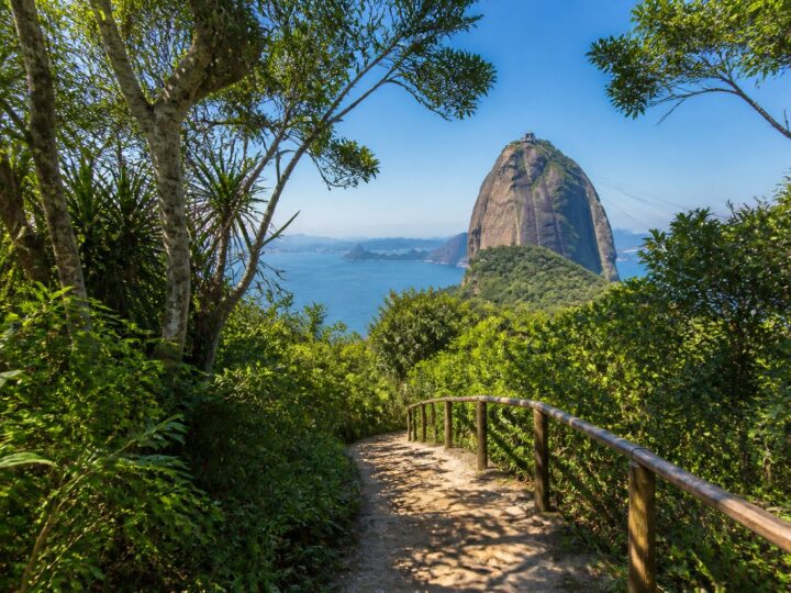 Trilha da Urca: Guia Completo das Vistas, Acesso e Estruturas