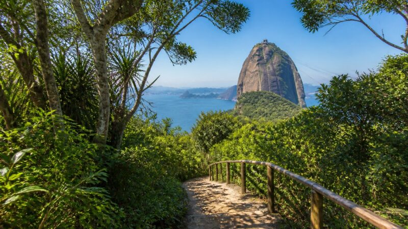 Trilha da Urca: Guia Completo das Vistas, Acesso e Estruturas