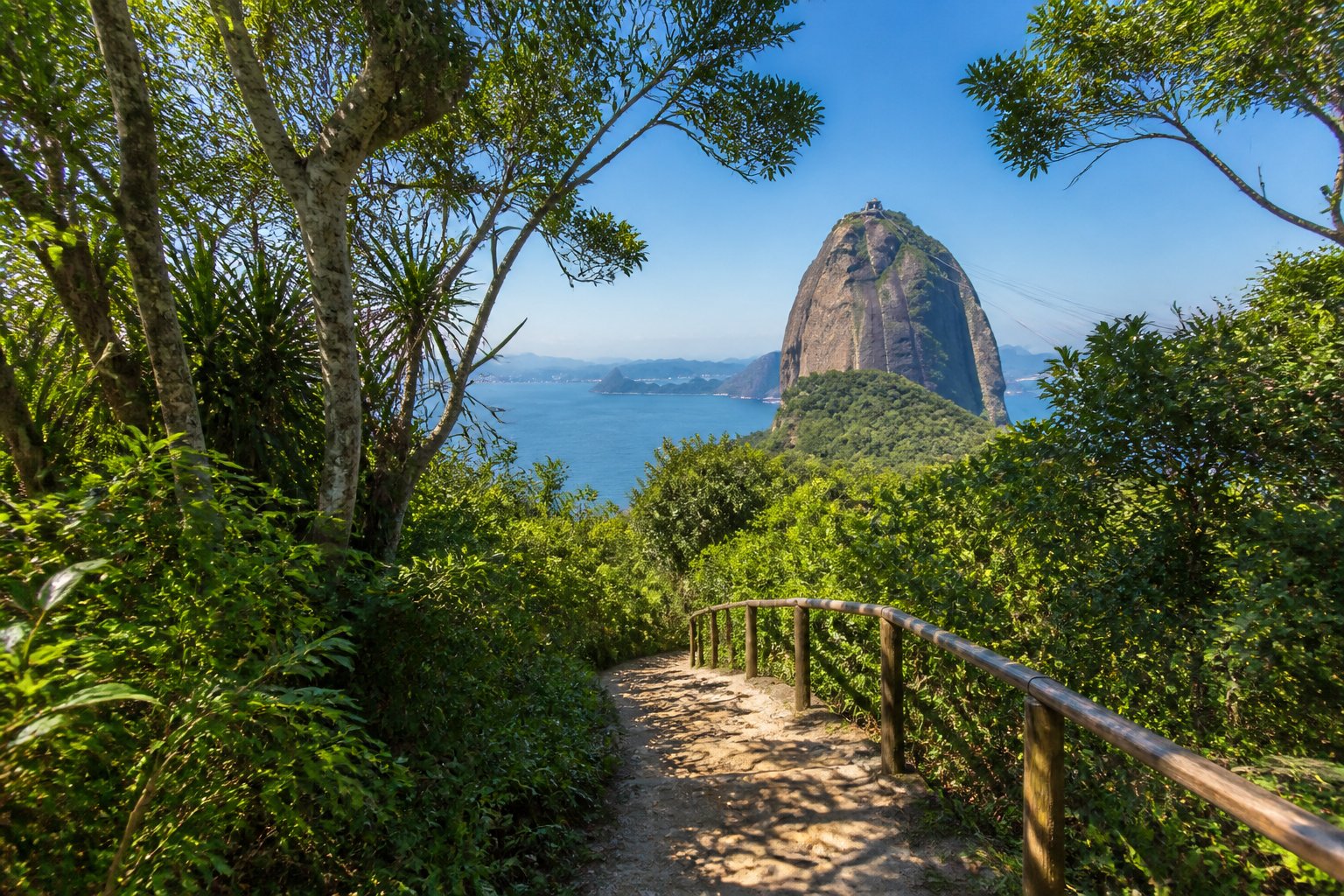 Trilha da Urca com vegetação verde, caminho de pedras e o Pão de Açúcar ao fundo sob céu azul.