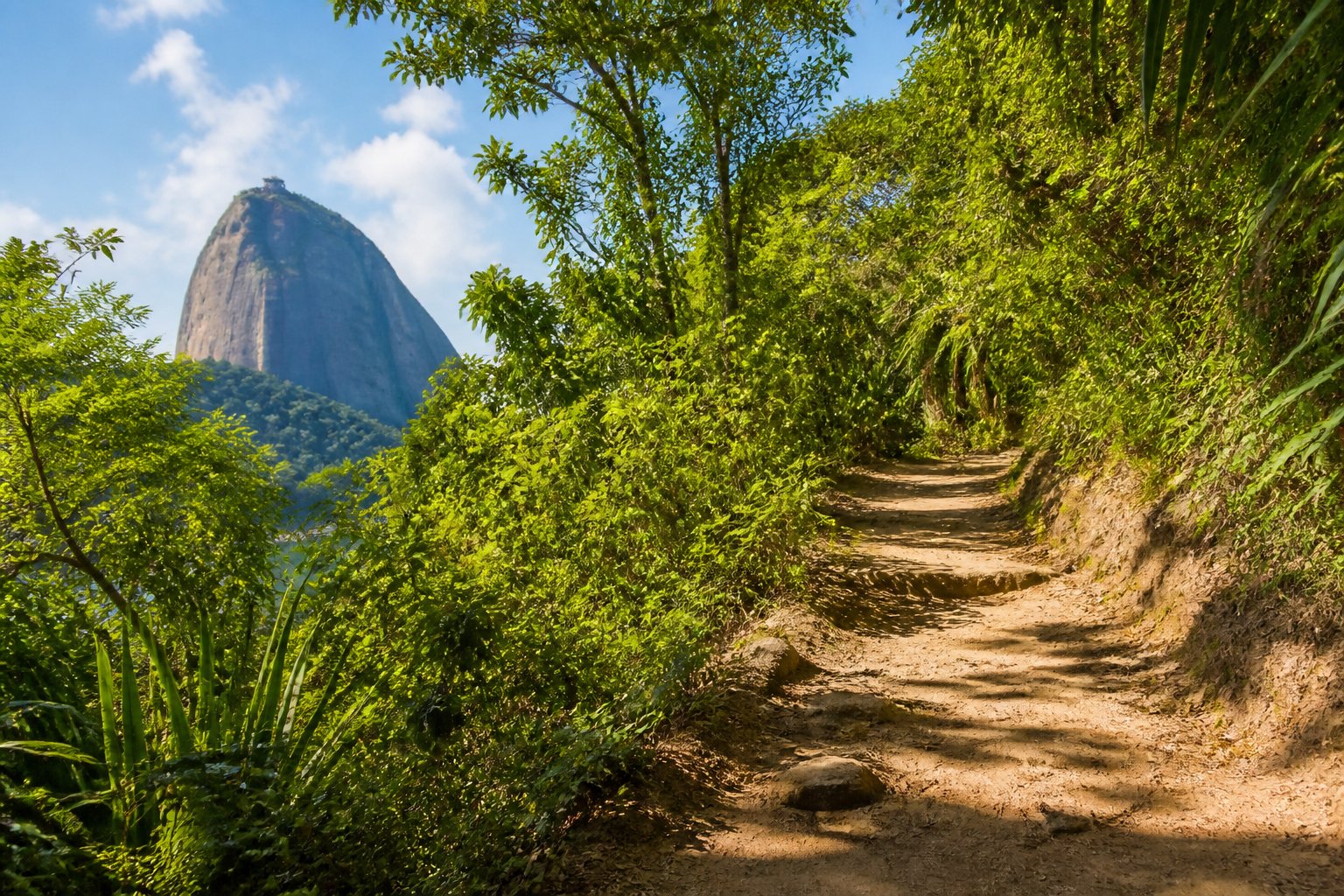 Entrada da trilha da Urca com caminho de terra cercado por vegetação verde e vista do Pão de Açúcar ao fundo.